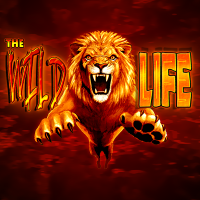 the wild life